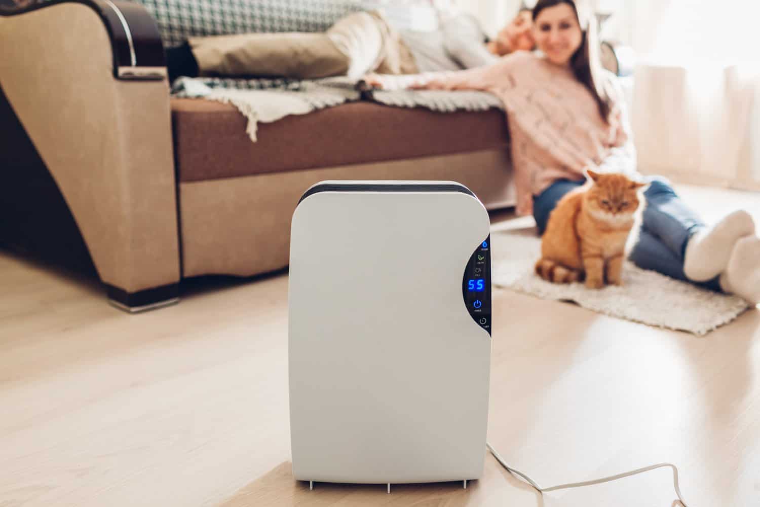 Choosing The Best Air Purifier For Mold-  5 Top Options