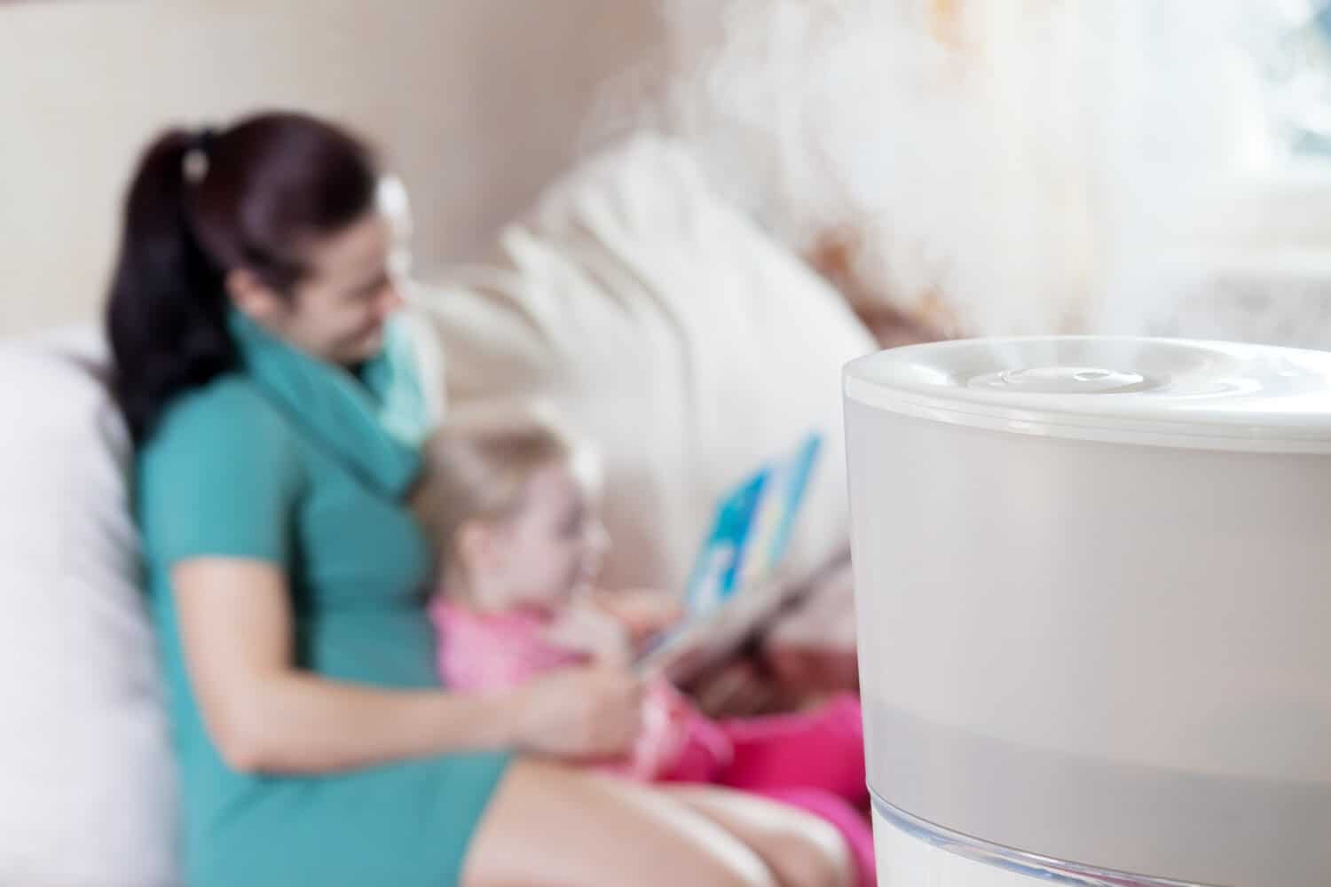What Is The Best Warm Mist Humidifier in 2022?