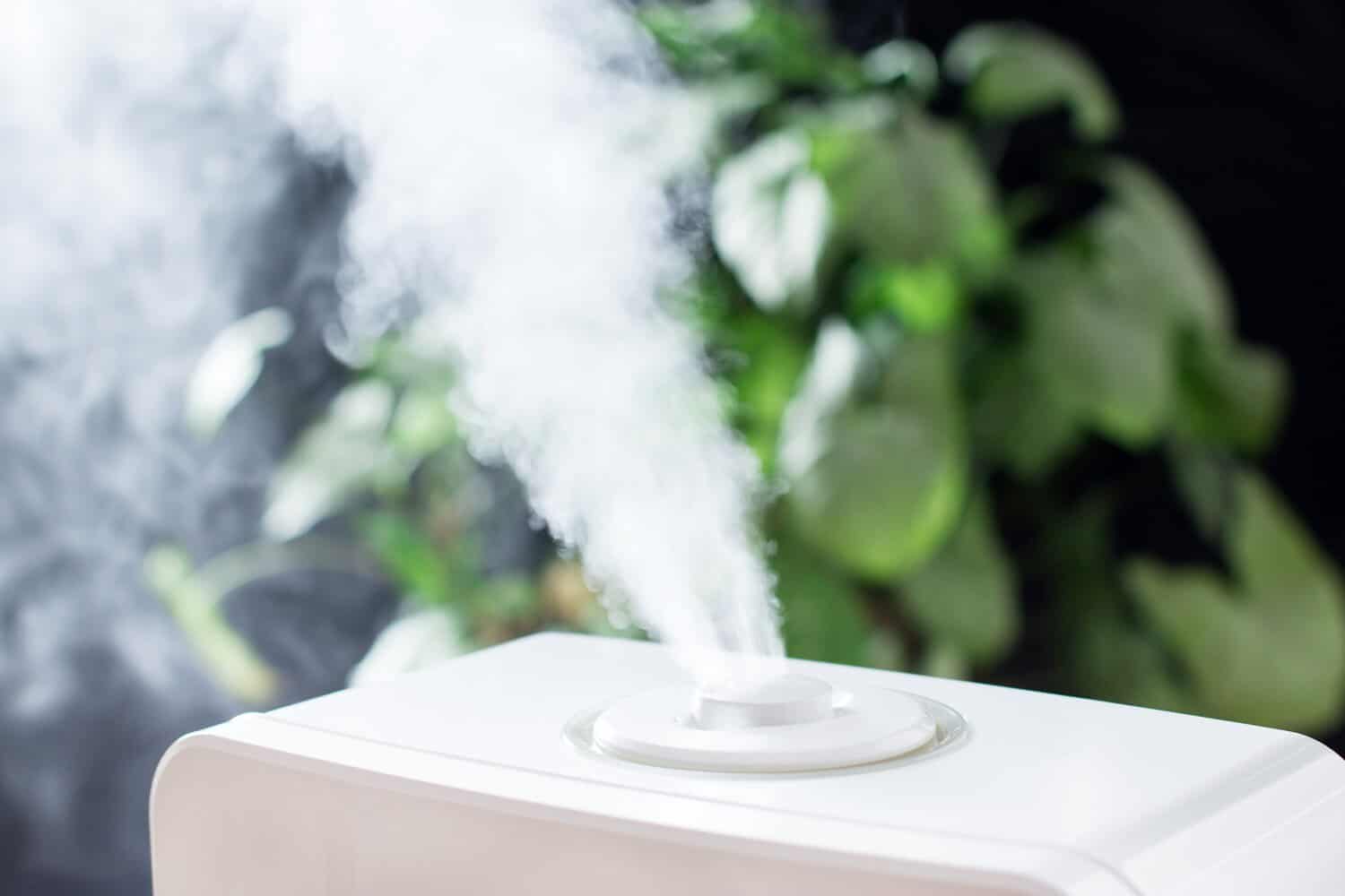 The Best Whole House Humidifier Reviews For 2022