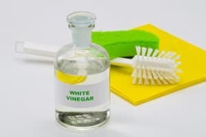 Add Vinegar To Humidifier Water