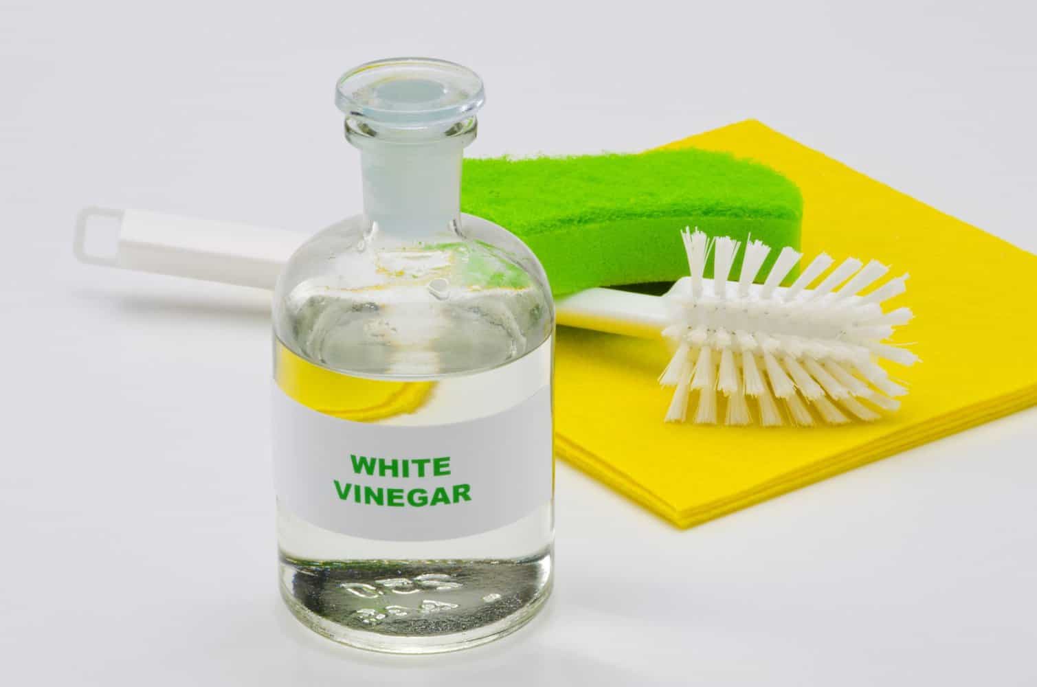 Add Vinegar to Humidifier Water for Better Results- 4 Reasons Why