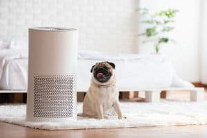 Best Air Purifier For Pets