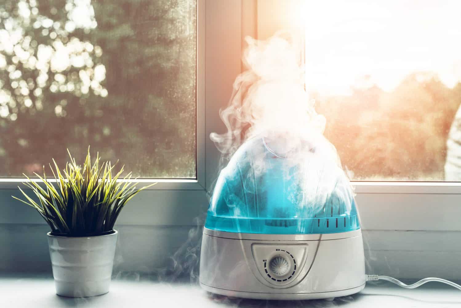 Ultrasonic Humidifier Frequency: 5 Things You Need to Know