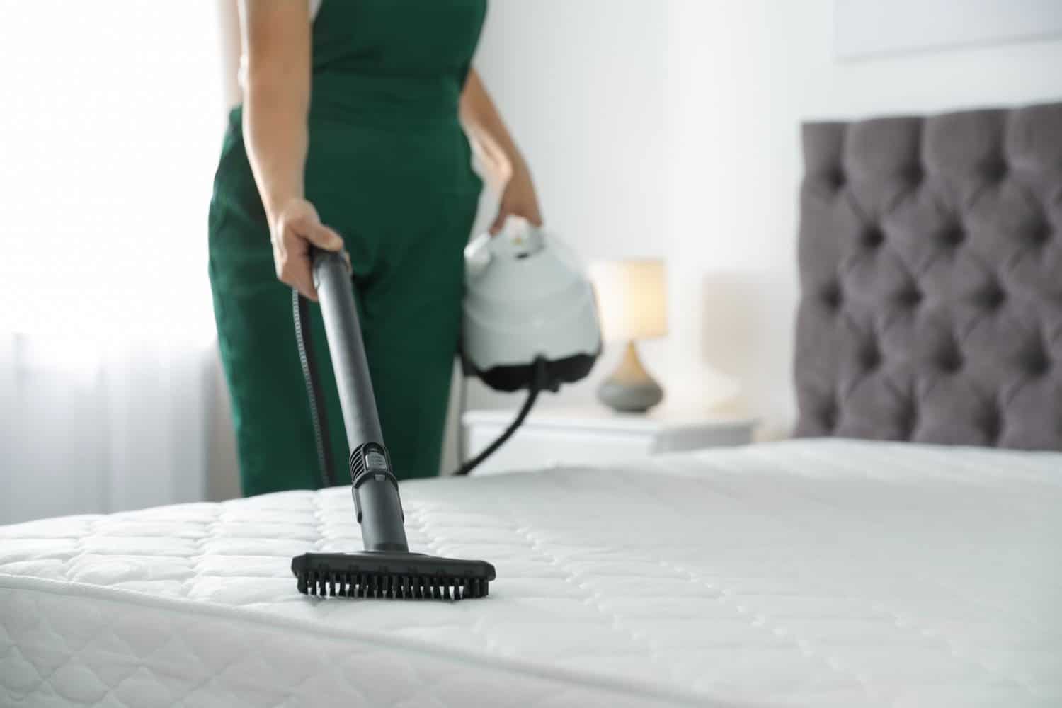 Best Steam Cleaner for Mattress: Our Best 4 Reviewed