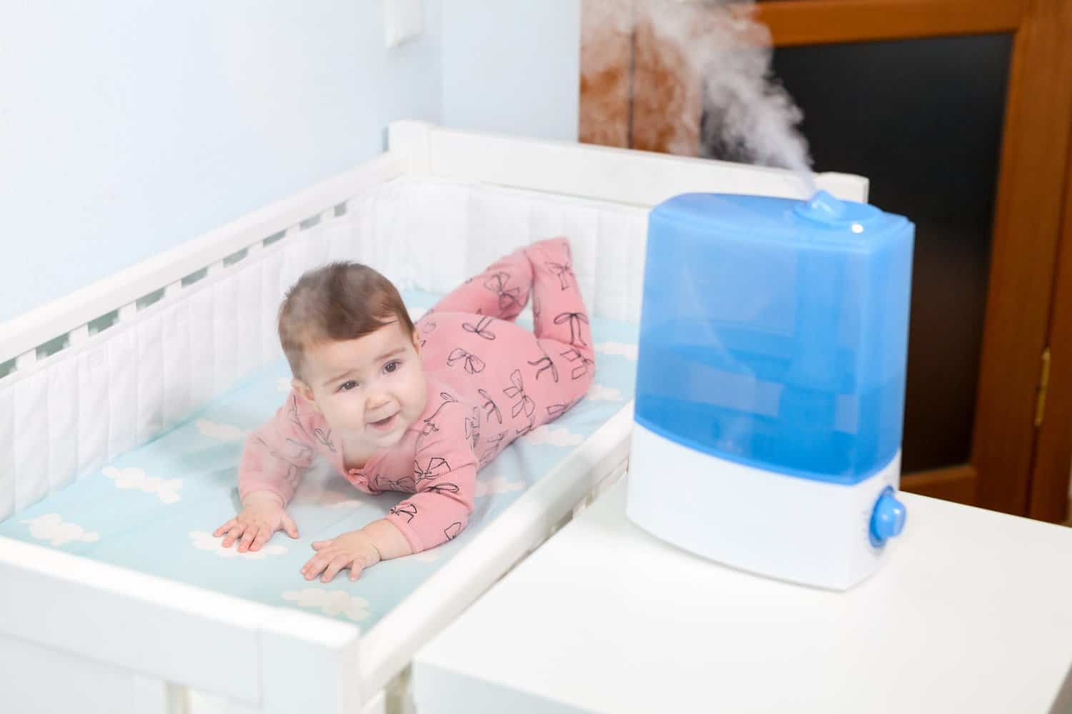 Air Purifier vs Humidifier for Baby: Which One is Better?